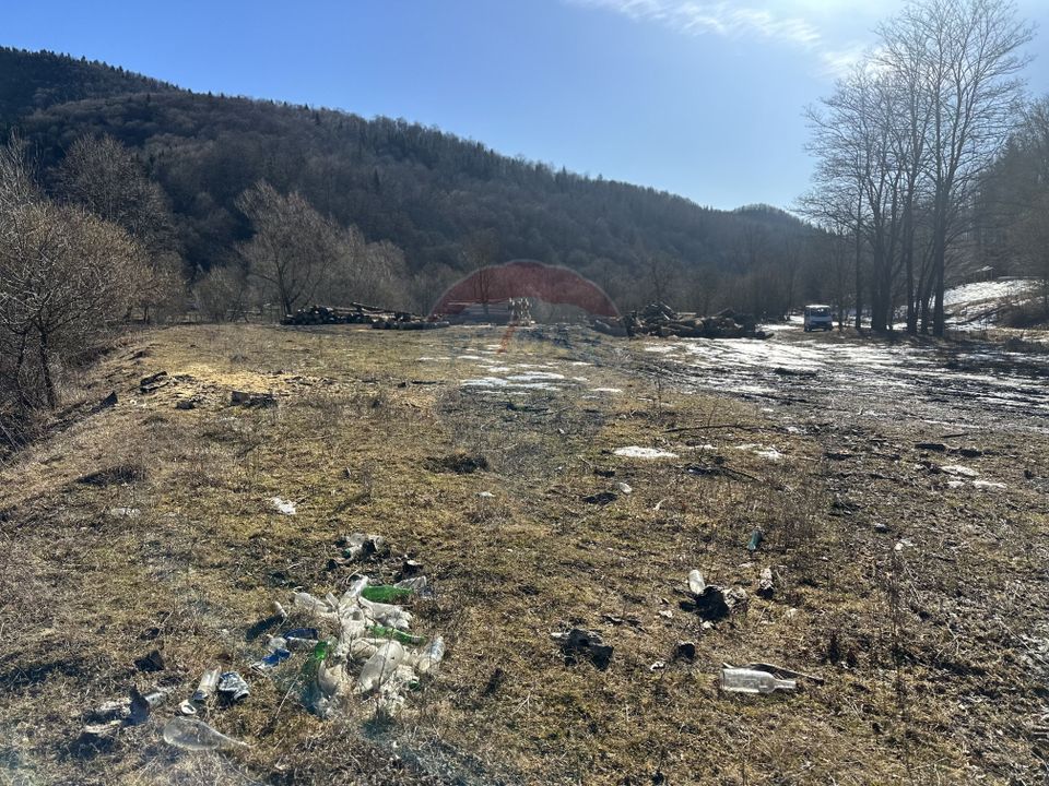 Land 1,340sqm Cuejdiu / Strada Cuejdiului