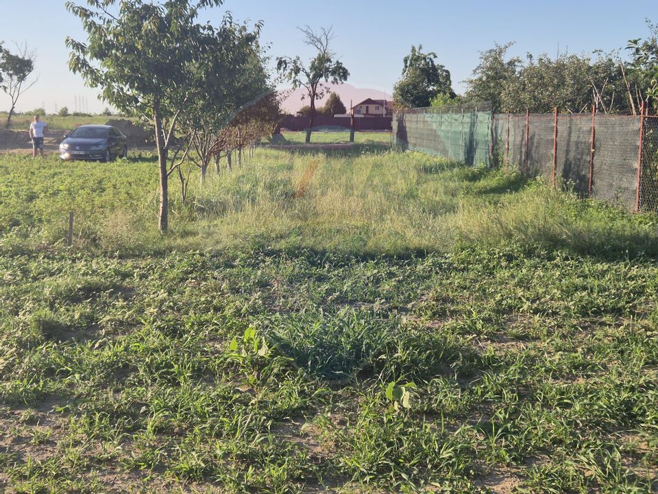 Teren 5,000mp Rusi-Ciutea / Strada Margaretelor