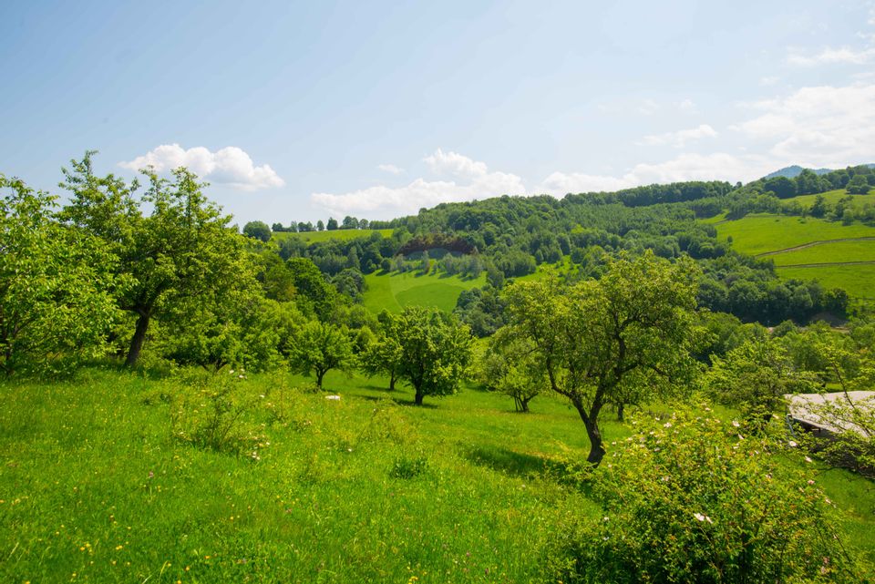 Land with utilities, 5,495sqm Bran - panoramic view, near Bran Castle