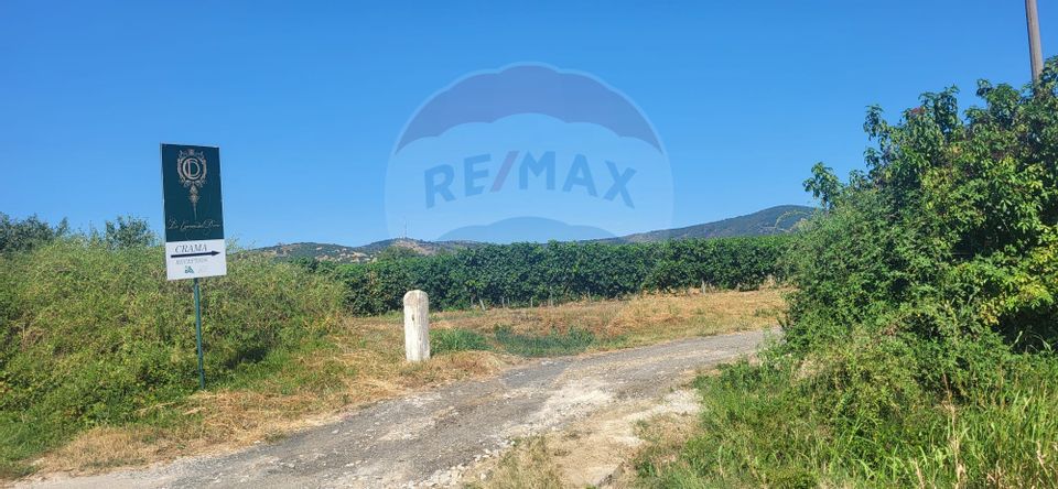 Land 50,500sqm Siria / DJ 709