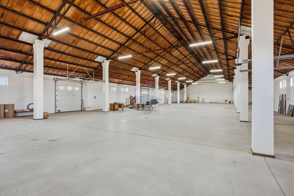 Hale industriale de închiriat în Tg Neamț