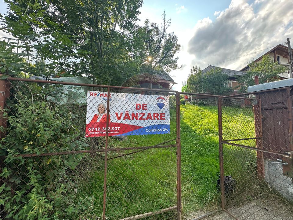 De vanzare GOSPODARIE in BUDESTI/ Maramures