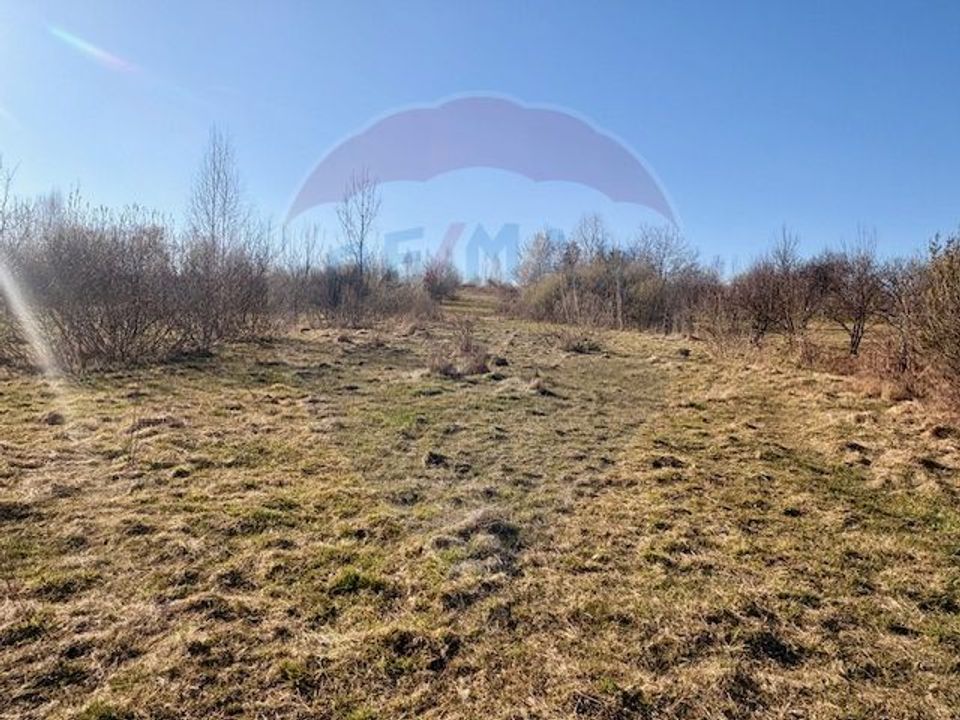 1 room House / Villa for sale