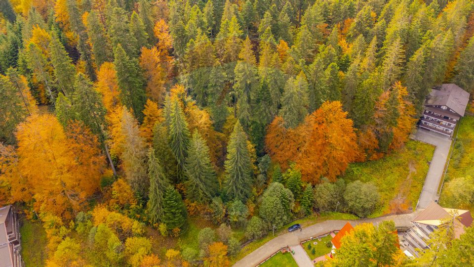 Comision 0 | Teren intravilan de vânzare – Predeal, Brașov 908 mp