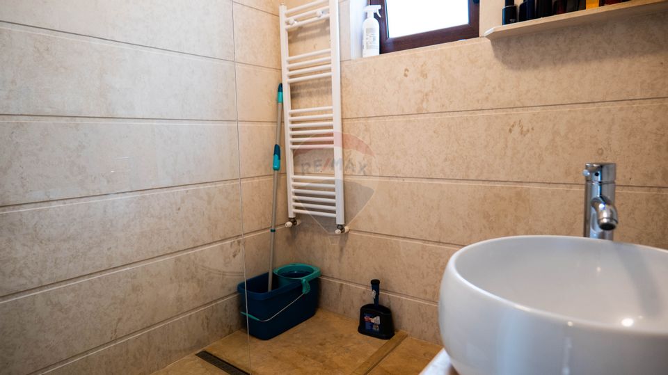 Vanzare - vilă 4 camere de complet mobilata, str. Caisului - Dobroesti