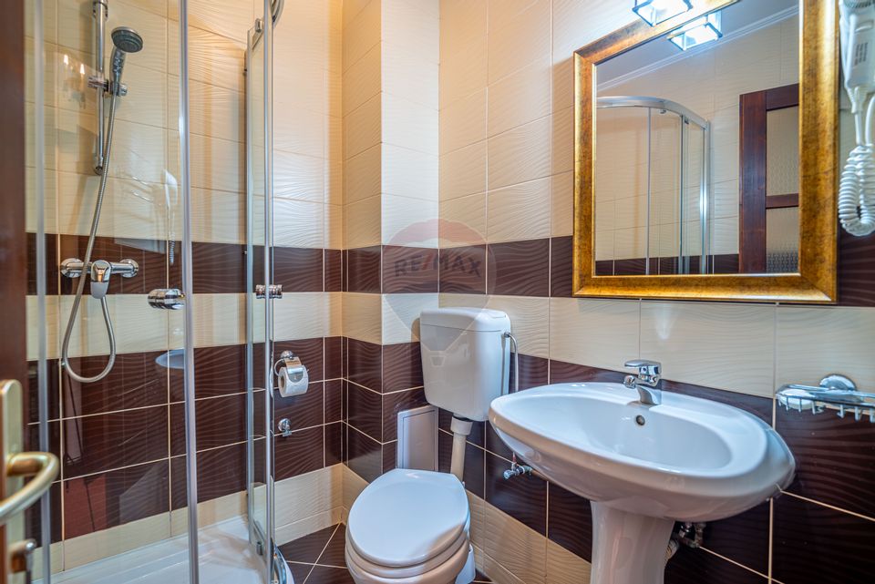 12 room Hotel / Pension for sale, Poiana Tapului area