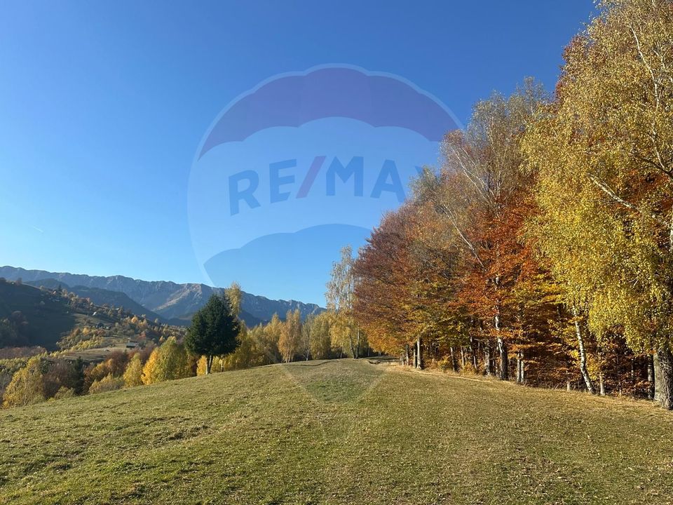 Investment opportunity ! Dream land in Pestera - 125,370 sqm