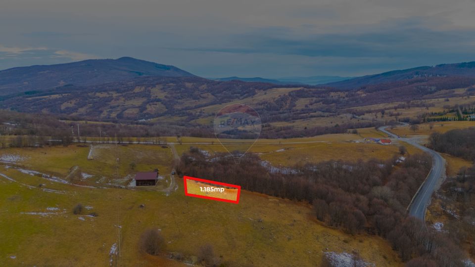 Teren 1,185 mp Teliu / Extravilan
