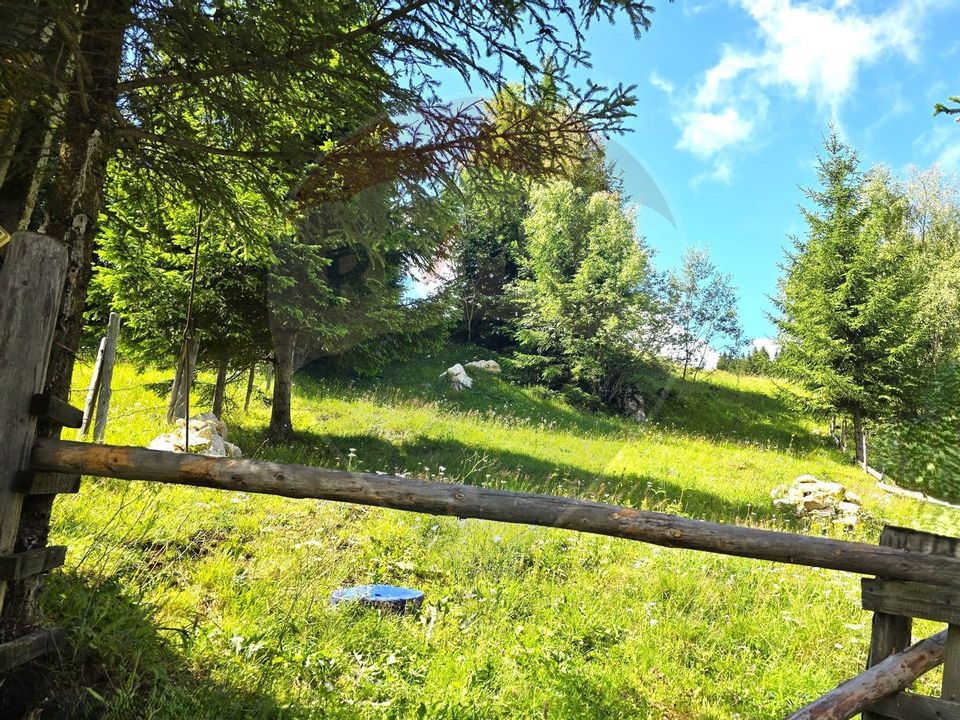 Teren de vis în Fundata 1934mp sau 3868mp, la înălțimea sufletului tău