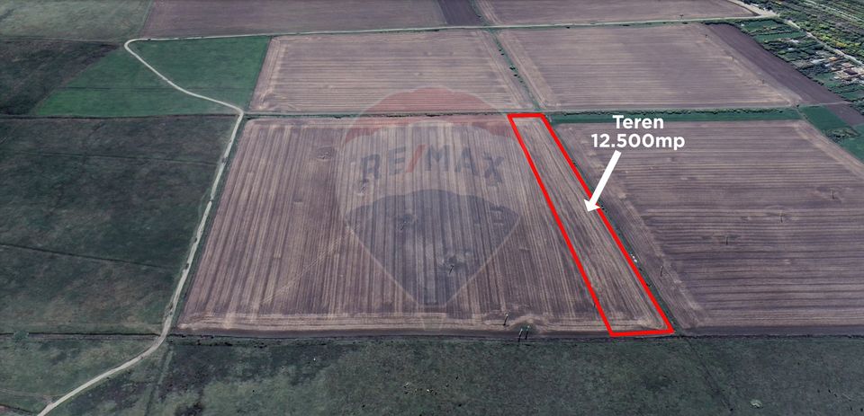 Land 12,500sqm Dumbrava / Strada zanoaga