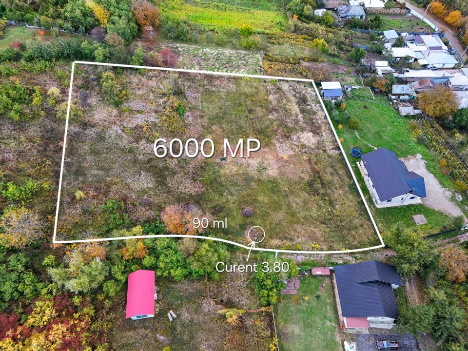 De vanzare teren intravilan 6,000mp Garlenii de Sus / Bacau