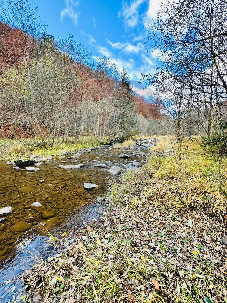 Teren 4,877mp Mara / Strada Principala