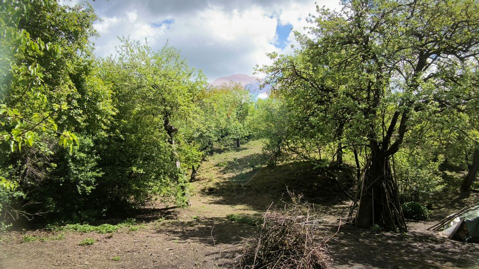 Teren intravilan 3.269 mp în Slimnic–panorama superbă, 15 km de Sibiu