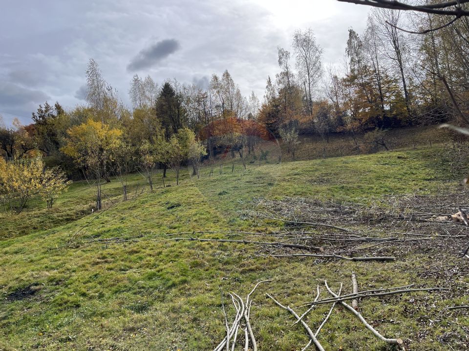 Teren de Vis în Bran – 1000mp Plat, Liniște Absolută și Aer Curat