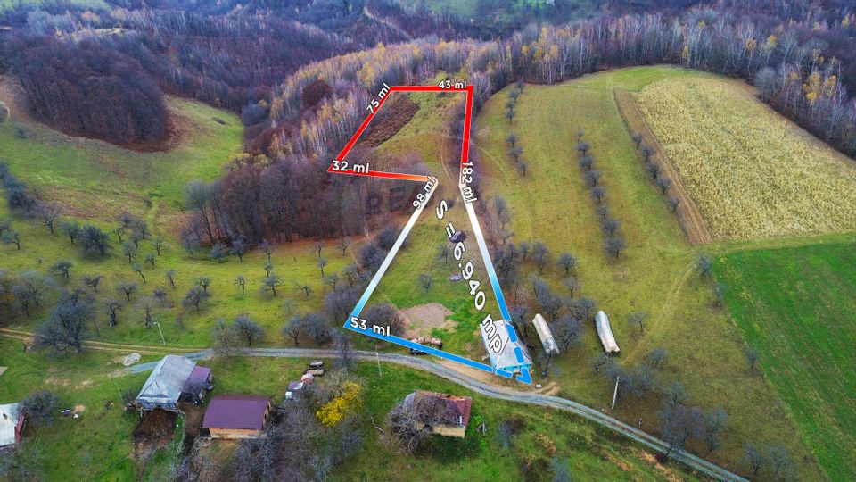 DE VANZARE CASA CU SUFELT SI ISTORIE