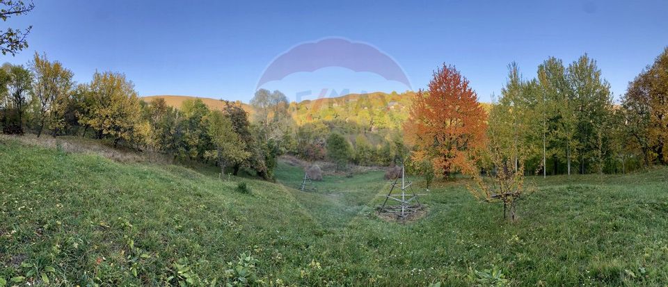 Land plot for sale Prahova -Secaria-Baiului Mountains