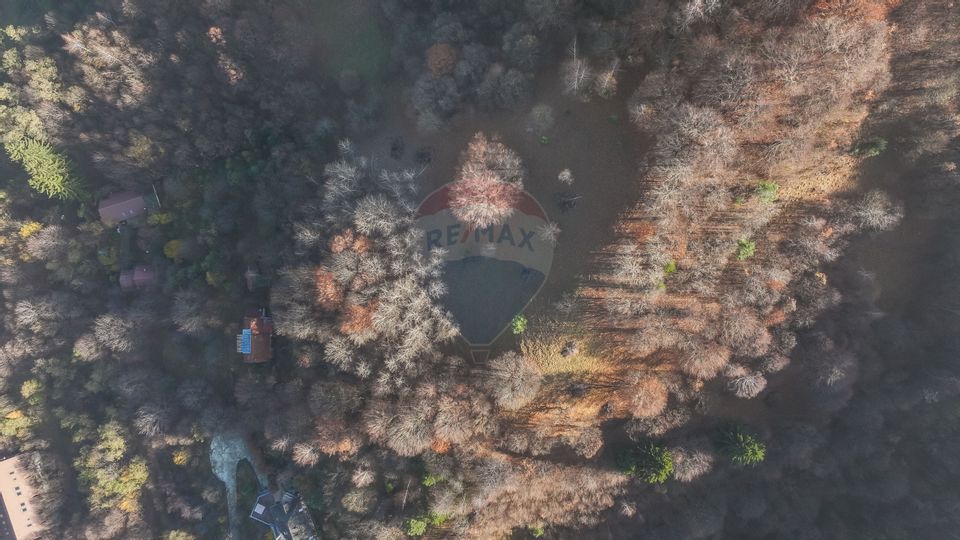 Teren Colinar Panoramic – 17.684 mp în Scheii Brașovului