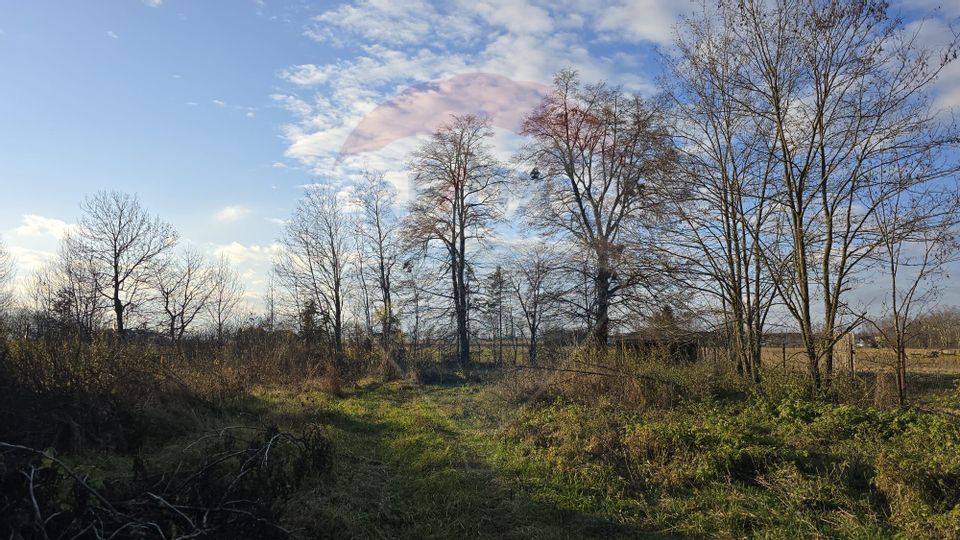 Land 10,860sqm Fratautii Noi / Strada Dealului