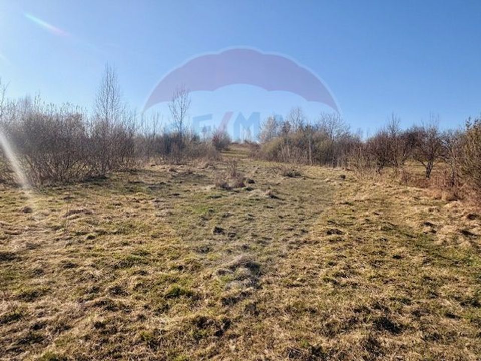 Casă traditionala+TEREN 6.000 mp