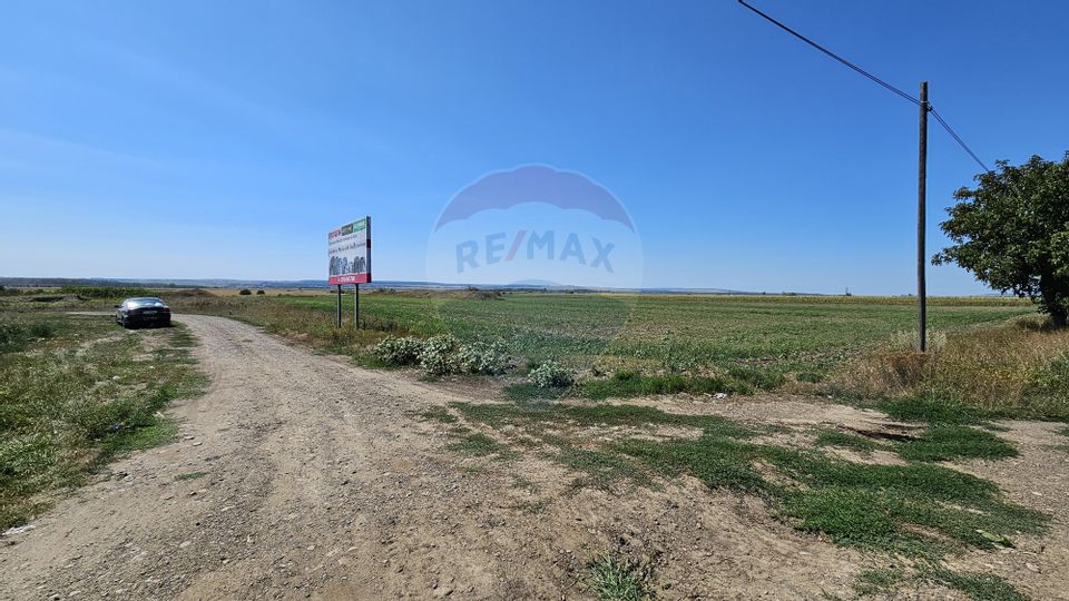 Land 52,115sqm Hutani / DJ DJ291