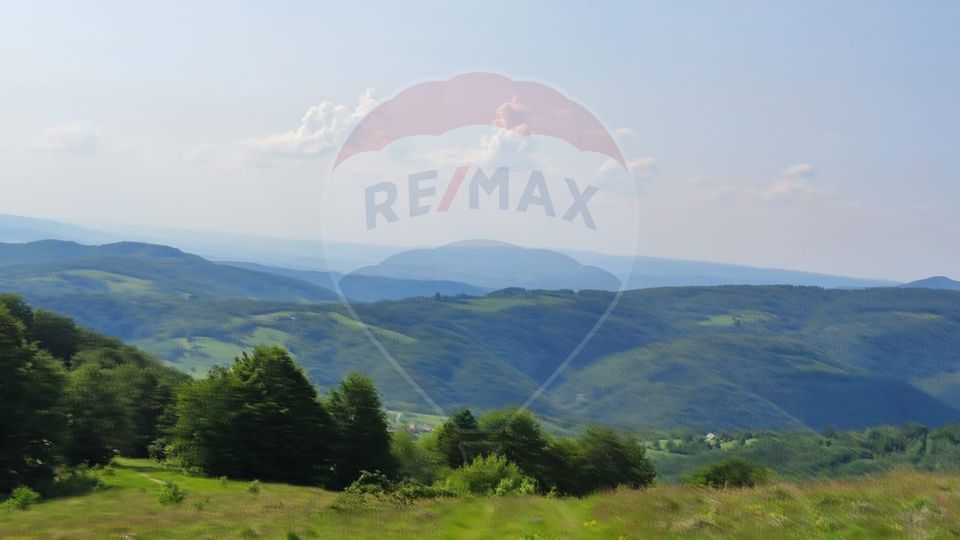 Teren 130000 mp extravilan Munteni - Bulz, Negreni