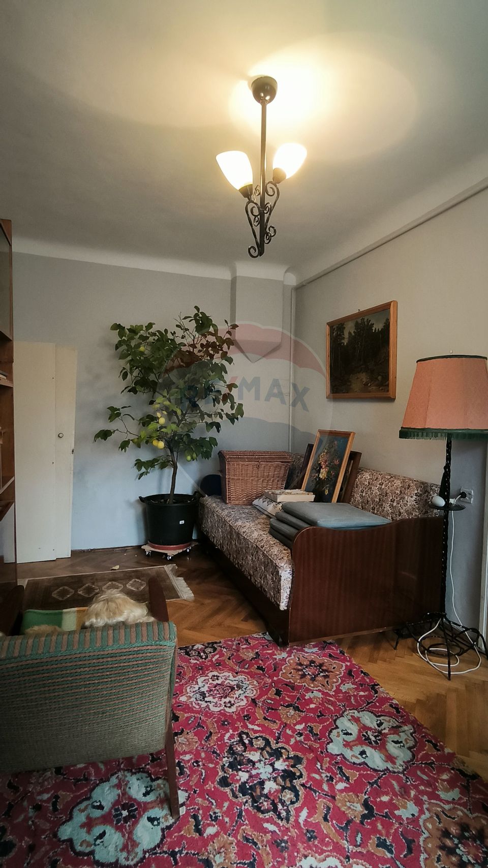 Casa in zona centrala Medias