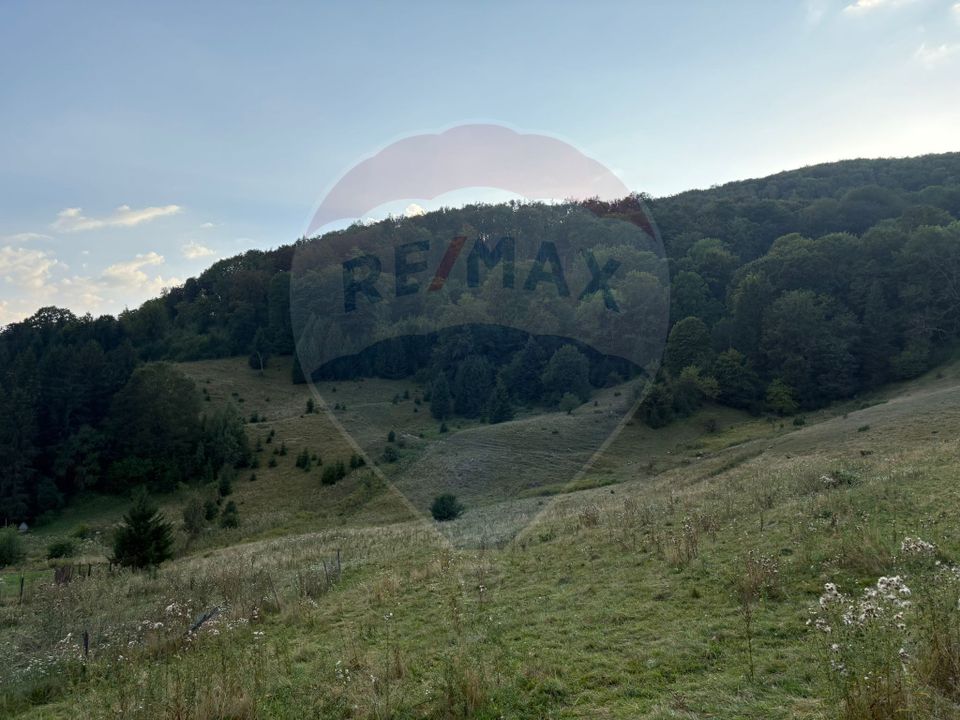 TEREN EXCLUSIV PENTRU INVESTIȚIE ÎN ZONĂ DE AGREMENT – BRAȘOV, DN 1E