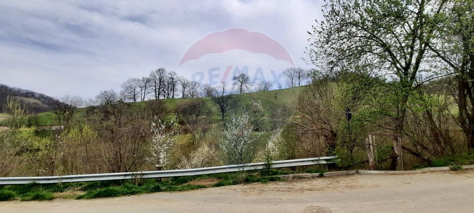 Casă de vanzare in Sighisoara intr-o zona foarte linistita