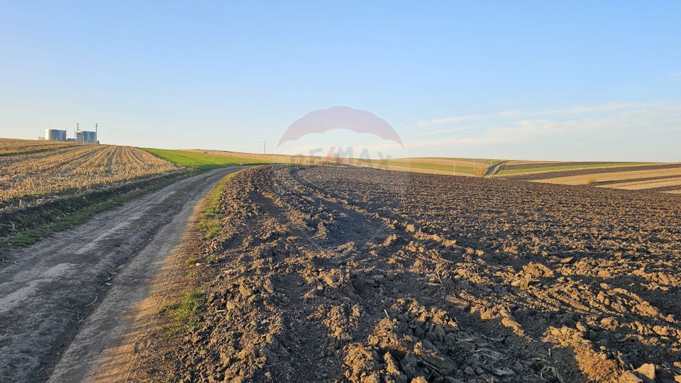 Land 30,077sqm Stroiesti / Soseaua DN17