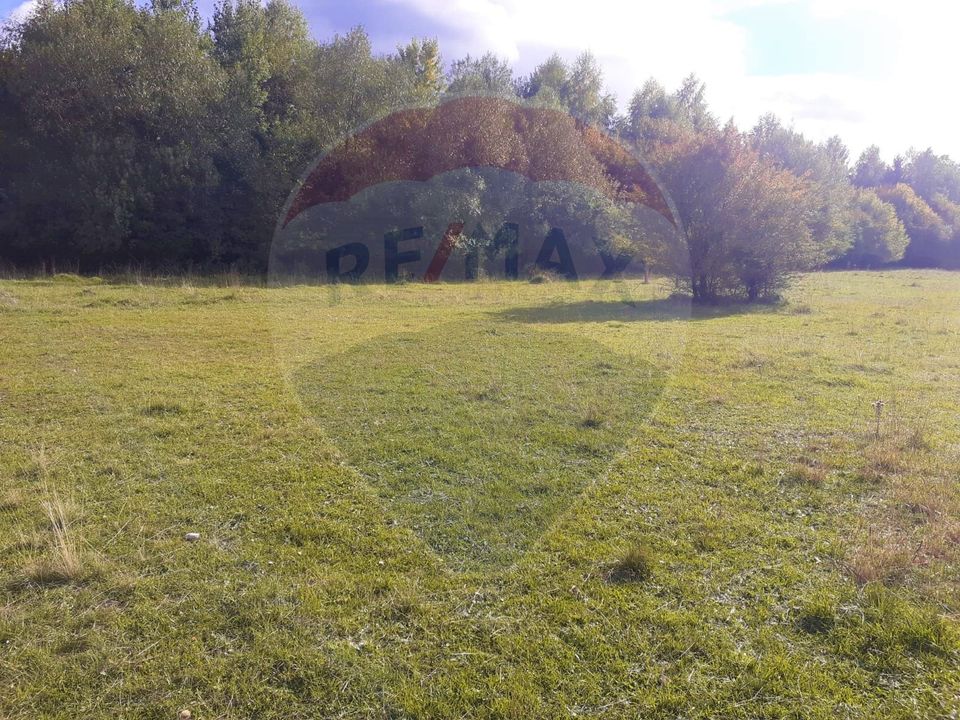 Land 2,200sqm Rasnov / Strada Poiana velicanului