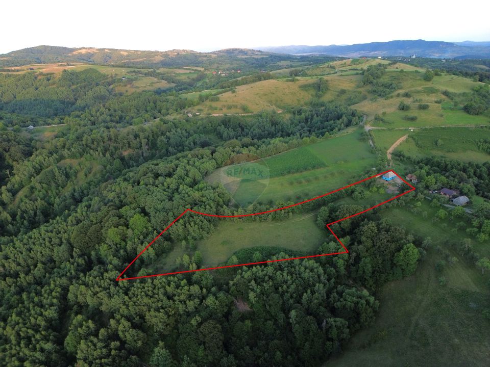 DE VANZARE CASA CU SUFELT SI ISTORIE