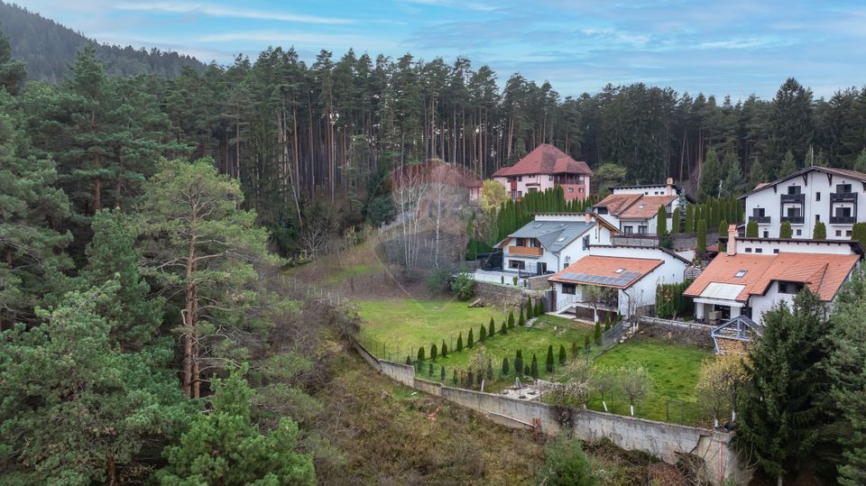 Vila moderna cu vedere spre padure Poiana Angelescu