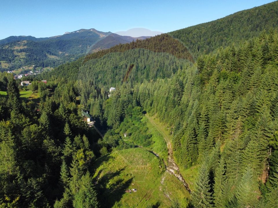 Teren 2,895mp Strada Priseci acces auto in zona telecabina BORSA