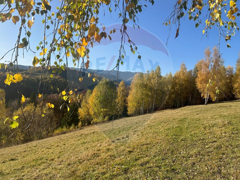 Investment opportunity ! Dream land in Pestera - 125,370 sqm