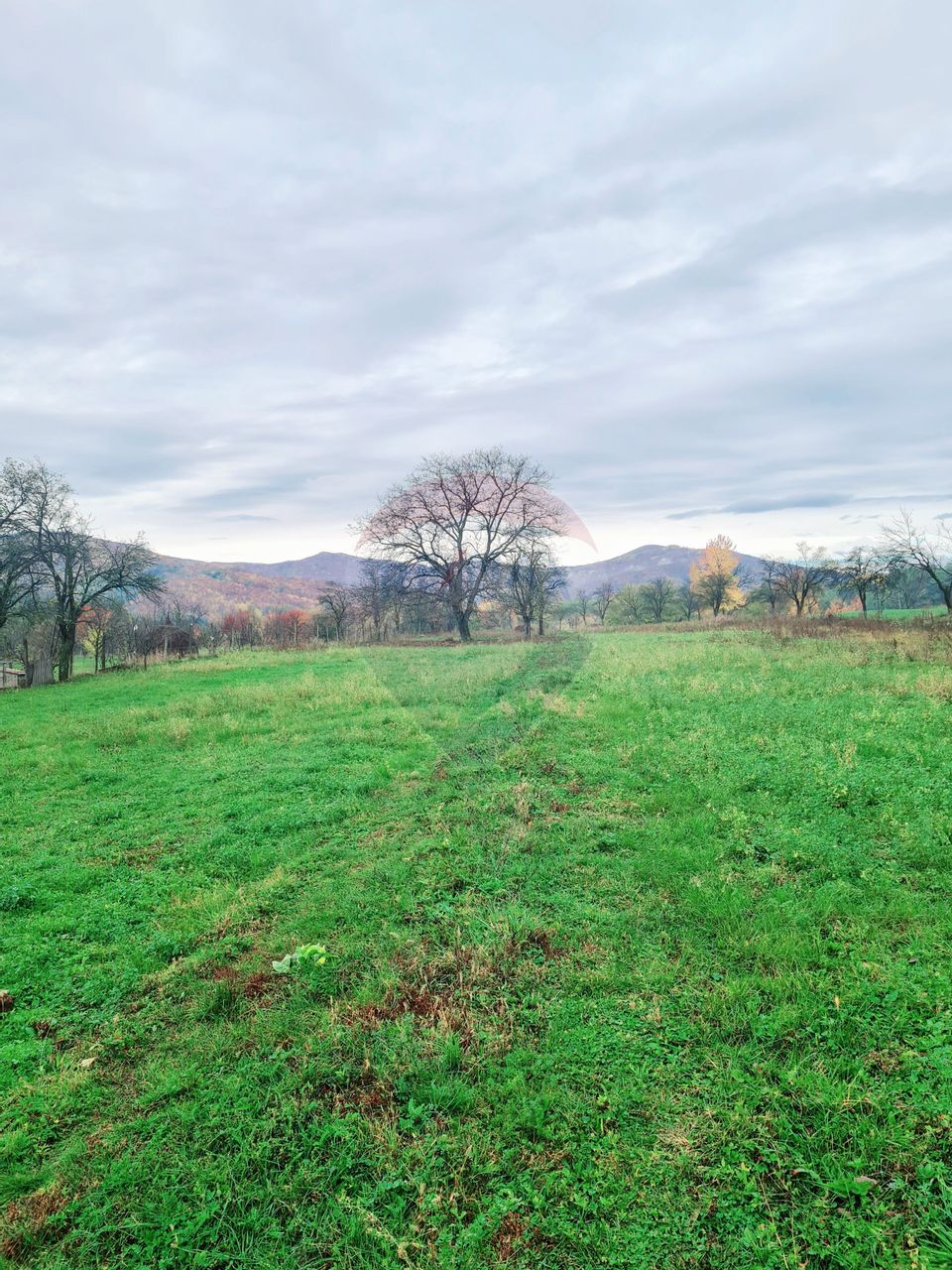 Land 7,370sqm Mera / Strada Alexandru Ioan Cuza