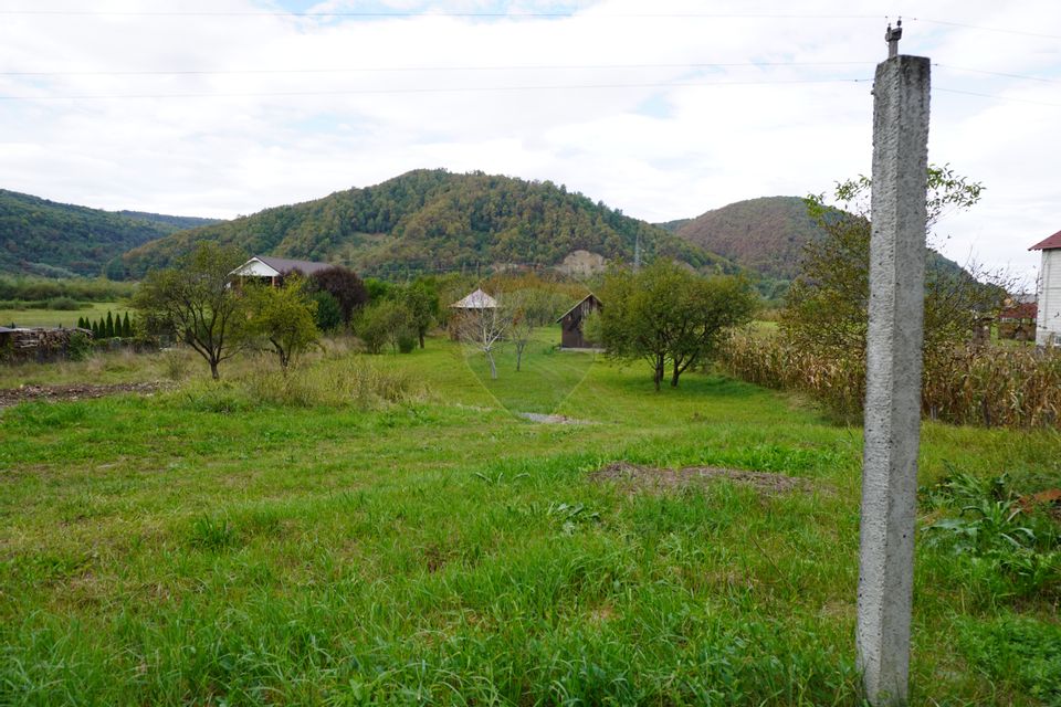 Teren 7968 mp Sighetu Marmatiei / Strada Lazu Baciului