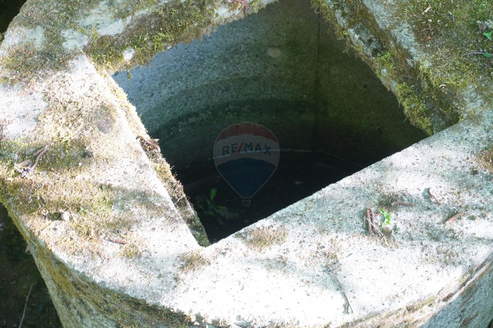 Land 38,592sqm Sighetu Marmatiei / Strada Mocăniței