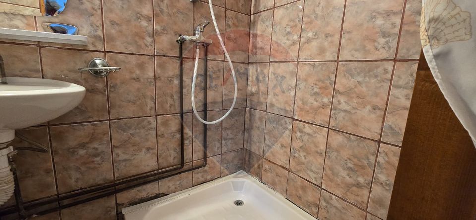 10 room Hotel / Pension for sale, Sud-Vest area