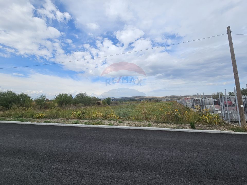 Land 11,264sqm Sannicoara / Strada Nicolae Balcescu