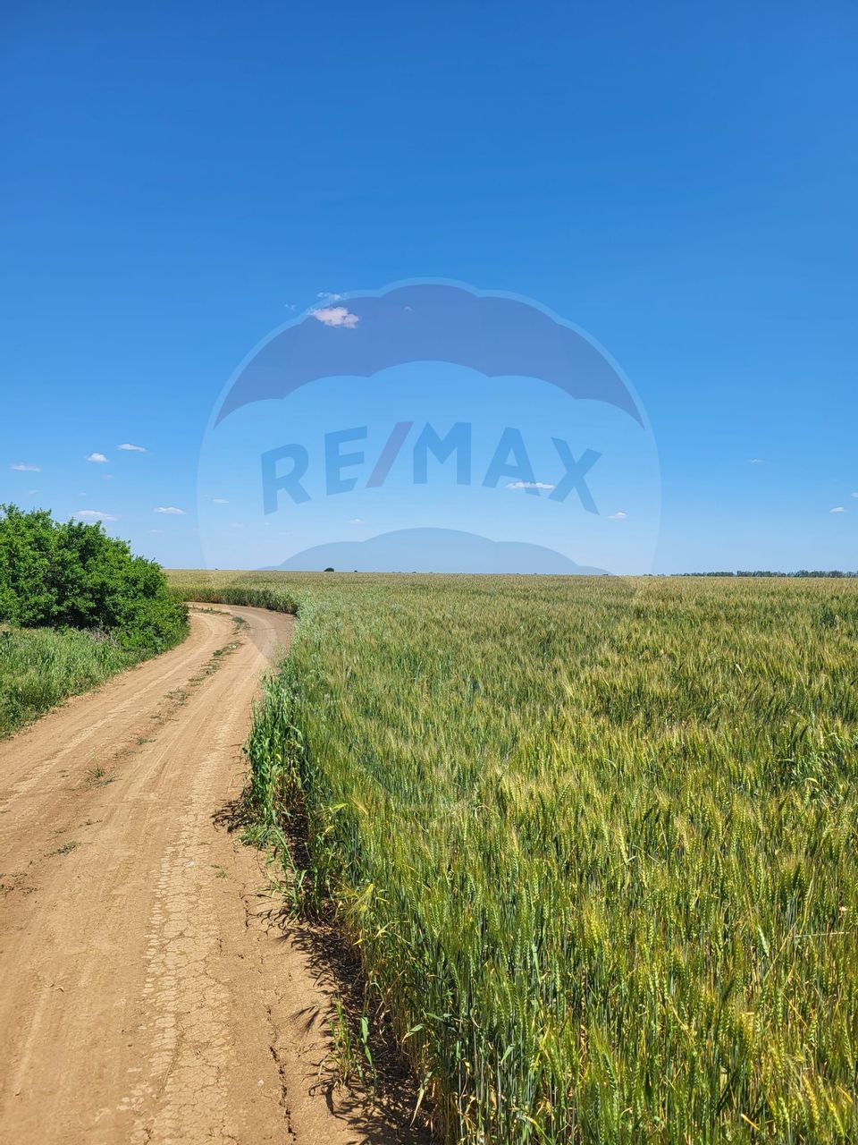 Land 5,000sqm Peris / Drumul tarla