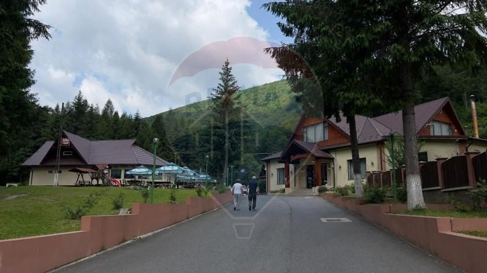 Rare opportunity in Romania! Poiana Sărată and forest tourist complex