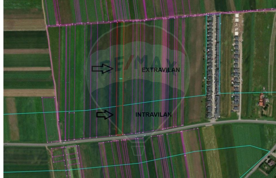 10,000 square meter plot in Tărlungeni / Zizinului Street