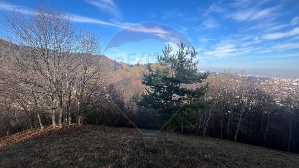 Teren Colinar Panoramic – 17.684 mp în Scheii Brașovului