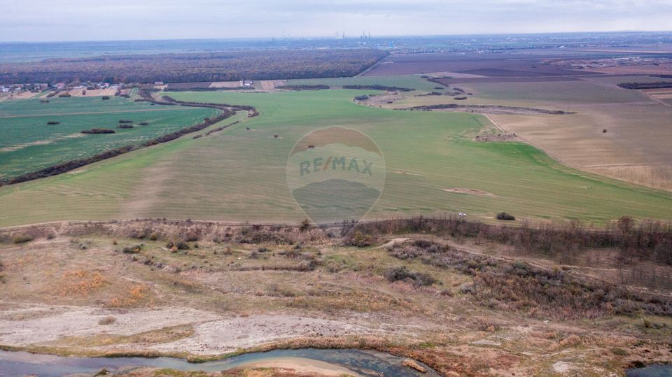 Land 310,000sqm Catunu (Berceni) / Intrarea tarla 17