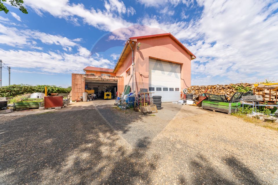 Spațiu industrial cu potential de vanzare in Paulis,Arad