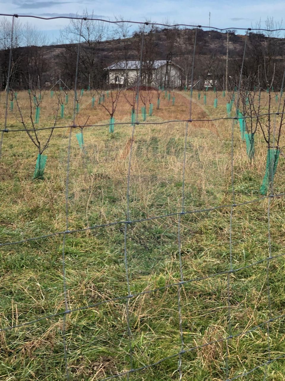 Land 6,000sqm Lugasu de Jos / Strada principala