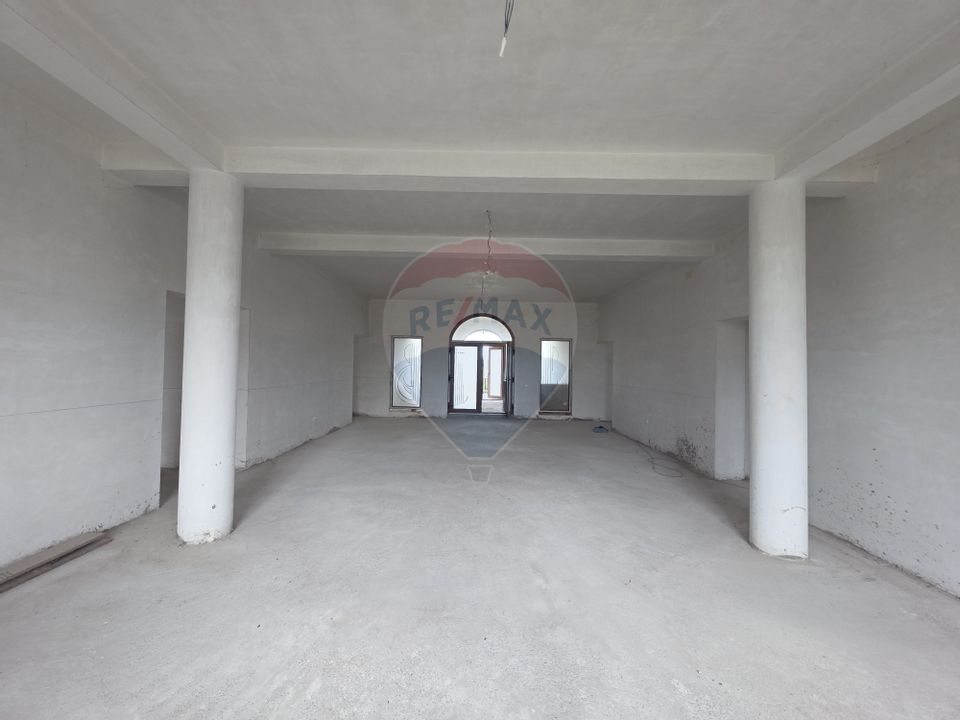 De vânzare proprietate unicat în Sascut - Bacău