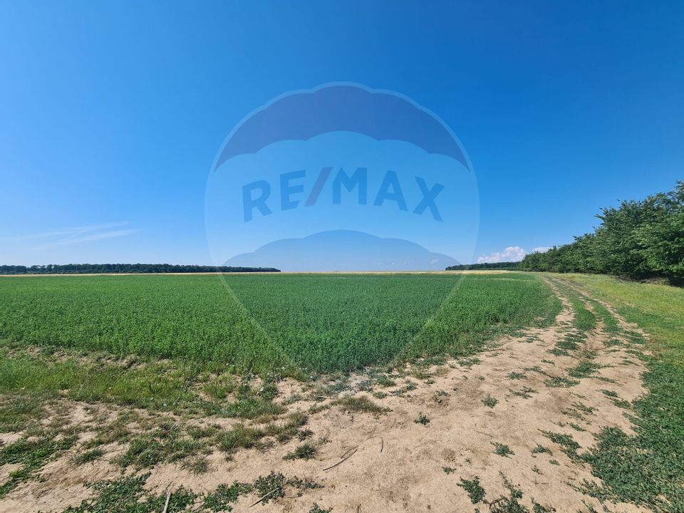 Agricultural land in Ciocanesti commune - Cretu village | 59.000 sqm