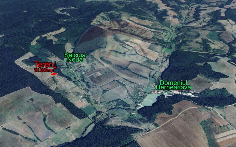 Teren Salciua Noua (comuna Pischia) 10.000mp