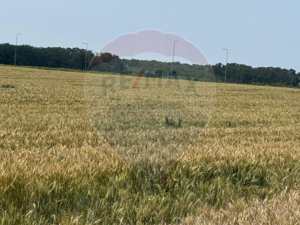 Vanzare Teren pentru dezvoltare mixta acces A0, Vadul Anei/ Branesti